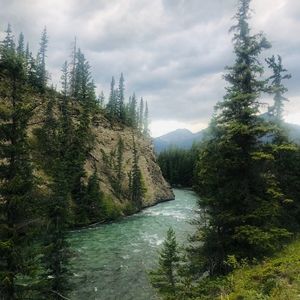 Meet your Posher, Sheila